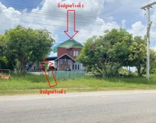 รูปทรัพย์ 2