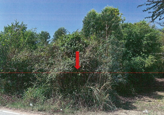ขายทอดตลาด ที่ดินว่างเปล่า จ.มหาสารคาม
