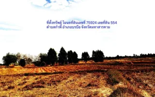 รูปทรัพย์ 2