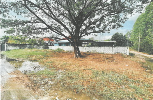 ขายทอดตลาด ที่ดินว่างเปล่า จ.มหาสารคาม