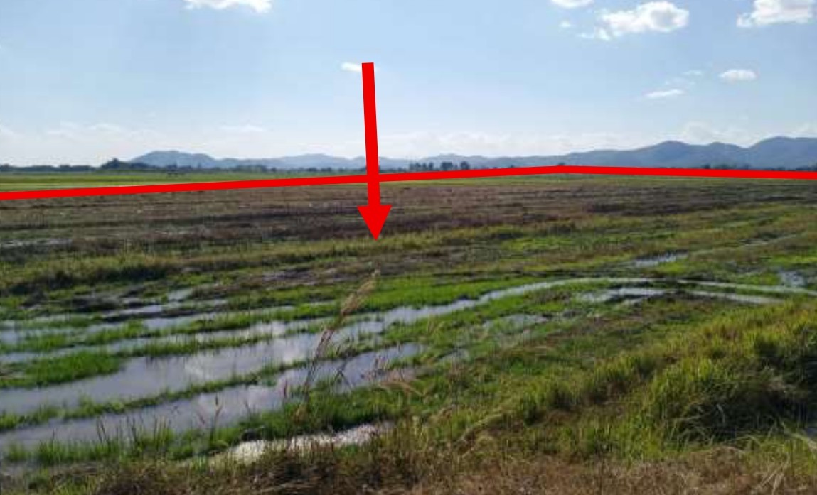 ขายทอดตลาด ที่ดินว่างเปล่า จ.พะเยา