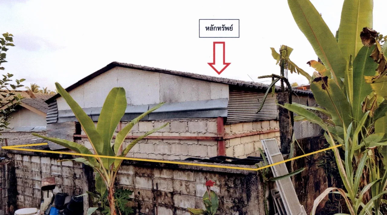 ขายทอดตลาด ที่ดินพร้อมสิ่งปลูกสร้าง ต.บางหมาก อ.เมืองชุมพร จ.ชุมพร