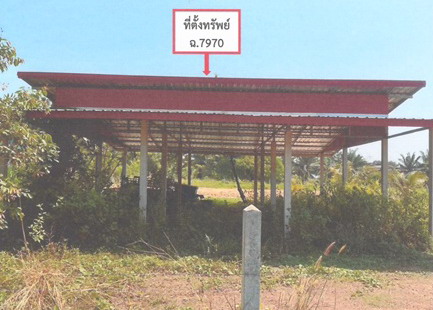 ขายทอดตลาด ที่ดินพร้อมสิ่งปลูกสร้าง ต.ไฮหย่อง อ.พังโคน จ.สกลนคร