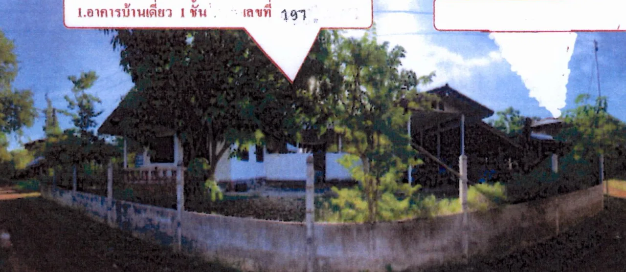 ขายทอดตลาด ที่ดินพร้อมสิ่งปลูกสร้าง ต.ต้นผึ้ง อ.พังโคน จ.สกลนคร