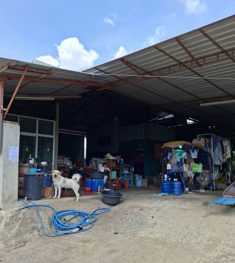 ขายทอดตลาด ที่ดินพร้อมสิ่งปลูกสร้าง ต.ท่าตูม อ.เมืองมหาสารคาม จ.มหาสารคาม