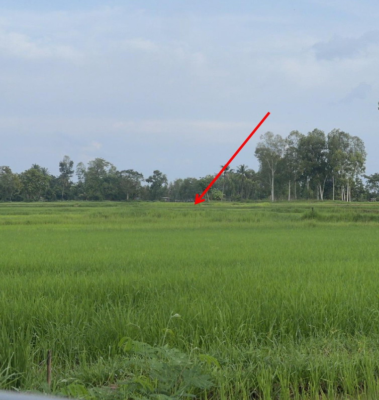 ขายทอดตลาด ที่ดินว่างเปล่า ต.หนองลาด อ.เมืองสกลนคร จ.สกลนคร