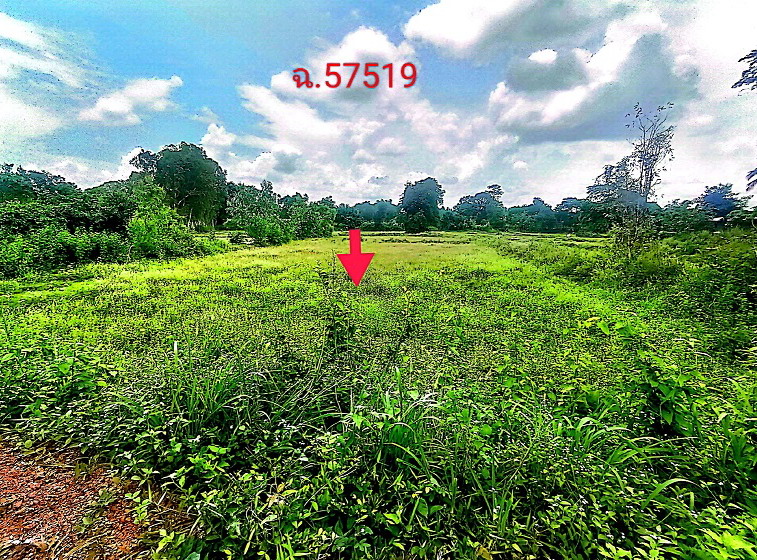 ขายทอดตลาด ที่ดินว่างเปล่า ต.พอกน้อย อ.พรรณานิคม จ.สกลนคร
