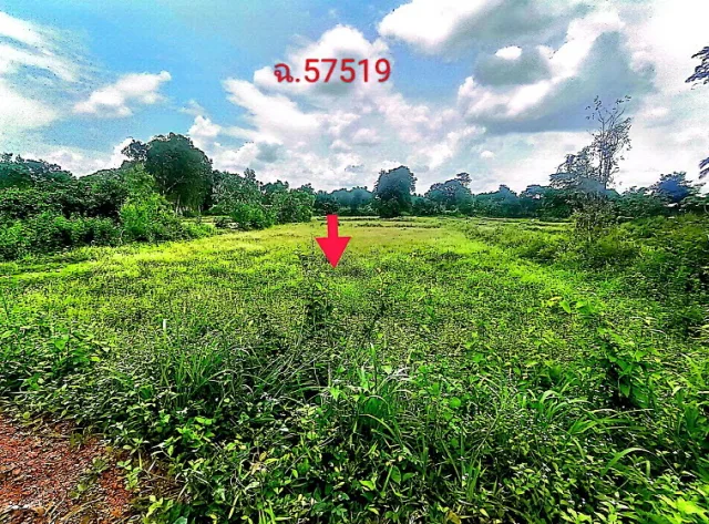 ขายทอดตลาด ที่ดินว่างเปล่า ต.พอกน้อย อ.พรรณานิคม จ.สกลนคร