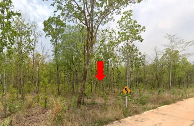 ขายทอดตลาด ที่ดินว่างเปล่า ต.อุ่มจาน อ.กุสุมาลย์ จ.สกลนคร