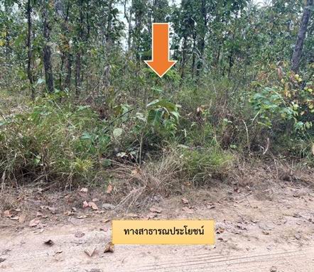 ขายทอดตลาด ที่ดินว่างเปล่า ต.เชิงชุม อ.พรรณานิคม จ.สกลนคร