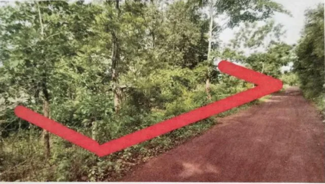 ขายทอดตลาด ที่ดินว่างเปล่า ต.เชียงเครือ อ.เมืองสกลนคร จ.สกลนคร
