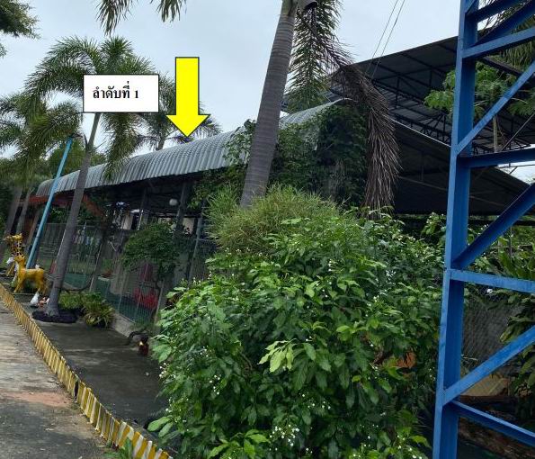 ขายทอดตลาด ที่ดินพร้อมสิ่งปลูกสร้าง ต.หนองแสง อ.วาปีปทุม จ.มหาสารคาม