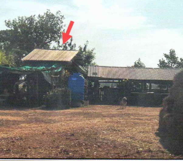 ขายทอดตลาด ที่ดินพร้อมสิ่งปลูกสร้าง ต.บ้านโพน อ.โพนนาแก้ว จ.สกลนคร