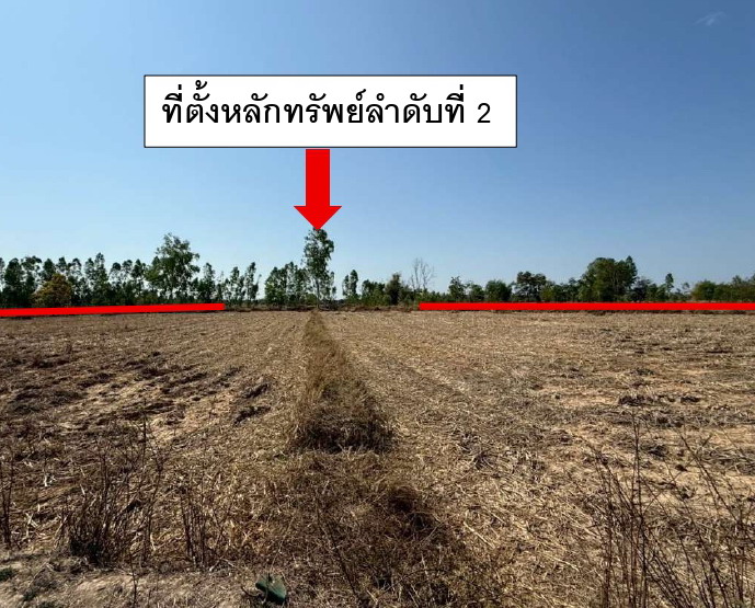 ขายทอดตลาด ที่ดินว่างเปล่า ต.เชียงเครือ อ.เมืองสกลนคร จ.สกลนคร