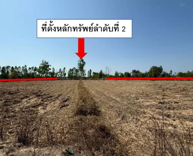 ขายทอดตลาด ที่ดินว่างเปล่า ต.เชียงเครือ อ.เมืองสกลนคร จ.สกลนคร