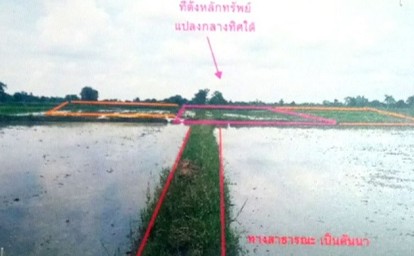 ขายทอดตลาด ที่ดินว่างเปล่า ต.พังโคน อ.พังโคน จ.สกลนคร