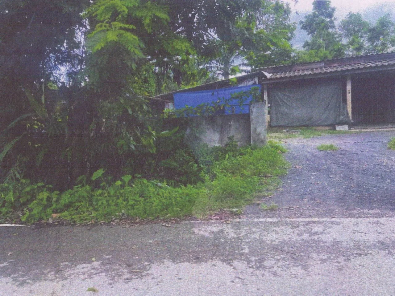 ขายทอดตลาด ที่ดินพร้อมสิ่งปลูกสร้าง ต.นาข้าวเสีย อ.นาโยง จ.ตรัง
