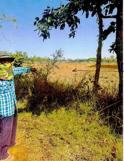 ขายทอดตลาด ที่ดินว่างเปล่า ต.ต้นผึ้ง อ.พังโคน จ.สกลนคร