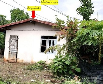 ขายทอดตลาด ที่ดินพร้อมสิ่งปลูกสร้าง ต.ม่วงไข่ อ.พังโคน จ.สกลนคร