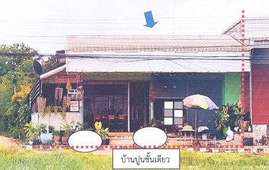 ขายทอดตลาด ที่ดินพร้อมสิ่งปลูกสร้าง ต.ม่วงไข่ อ.พังโคน จ.สกลนคร