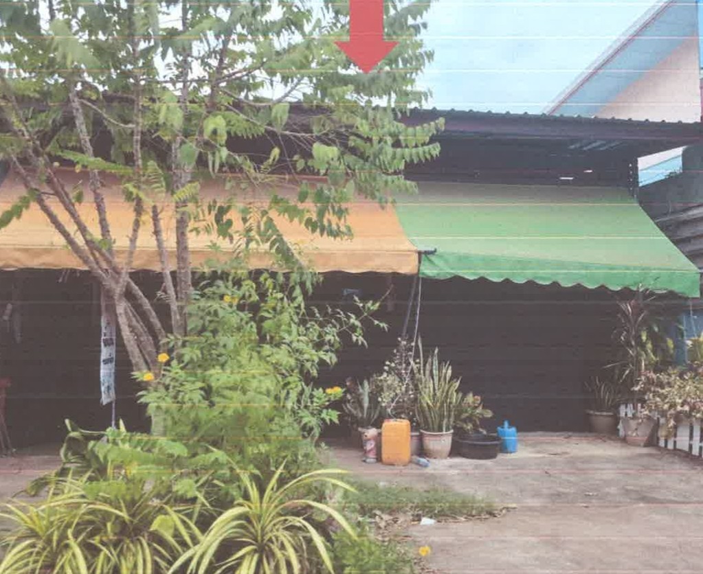 ขายทอดตลาด ที่ดินพร้อมสิ่งปลูกสร้าง ต.ไฮหย่อง อ.พังโคน จ.สกลนคร
