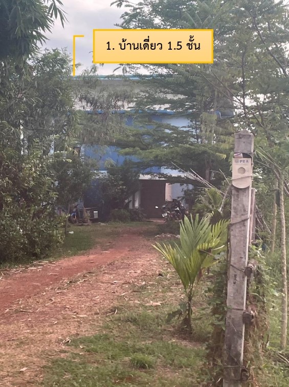 ขายทอดตลาด ที่ดินพร้อมสิ่งปลูกสร้าง ต.แร่ อ.พังโคน จ.สกลนคร