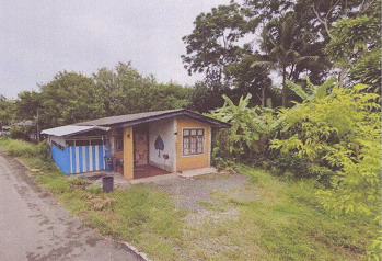 ขายทอดตลาด ที่ดินพร้อมสิ่งปลูกสร้าง ต.บ้านโพธิ์ อ.เมืองตรัง จ.ตรัง