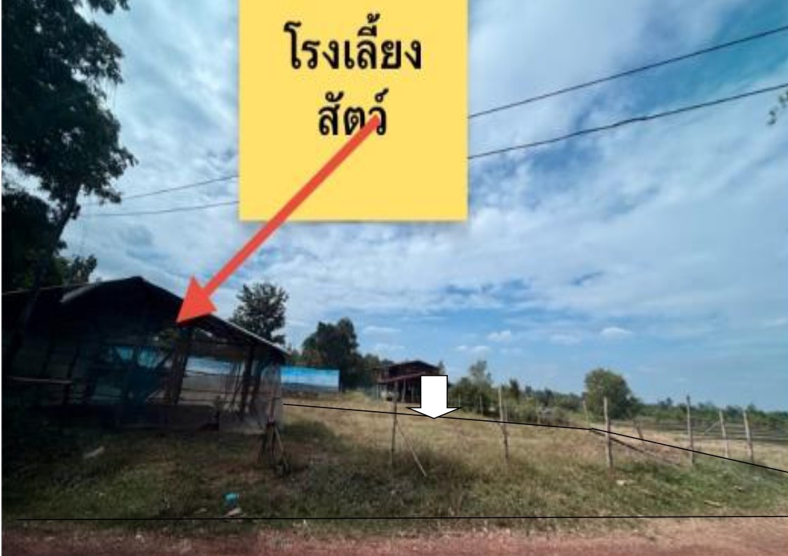 ขายทอดตลาด ที่ดินพร้อมสิ่งปลูกสร้าง ต.ต้นผึ้ง อ.พังโคน จ.สกลนคร