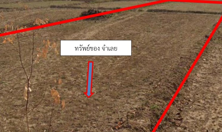 ขายทอดตลาด ที่ดินว่างเปล่า ต.ขมิ้น อ.เมืองสกลนคร จ.สกลนคร