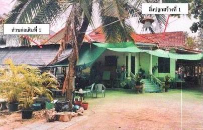ขายทอดตลาด ที่ดินพร้อมสิ่งปลูกสร้าง ต.เวียงสะอาด อ.พยัคฆภูมิพิสัย จ.มหาสารคาม