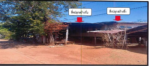 ขายทอดตลาด ที่ดินพร้อมสิ่งปลูกสร้าง ต.นาตงวัฒนา อ.โพนนาแก้ว จ.สกลนคร
