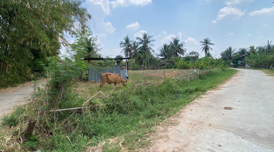 ขายทอดตลาด ที่ดินพร้อมสิ่งปลูกสร้าง ต.ท่าสองคอน อ.เมืองมหาสารคาม จ.มหาสารคาม