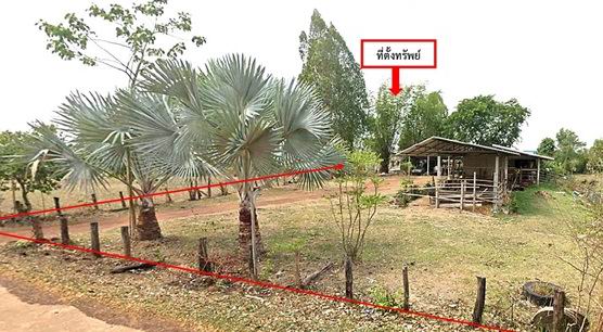 ขายทอดตลาด ที่ดินพร้อมสิ่งปลูกสร้าง ต.งิ้วด่อน อ.เมืองสกลนคร จ.สกลนคร