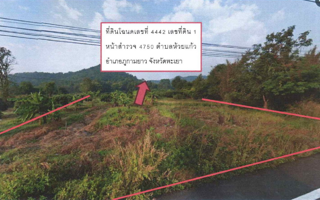 ขายทอดตลาด ที่ดินว่างเปล่า ต.ห้วยแก้ว อ.ภูกามยาว จ.พะเยา