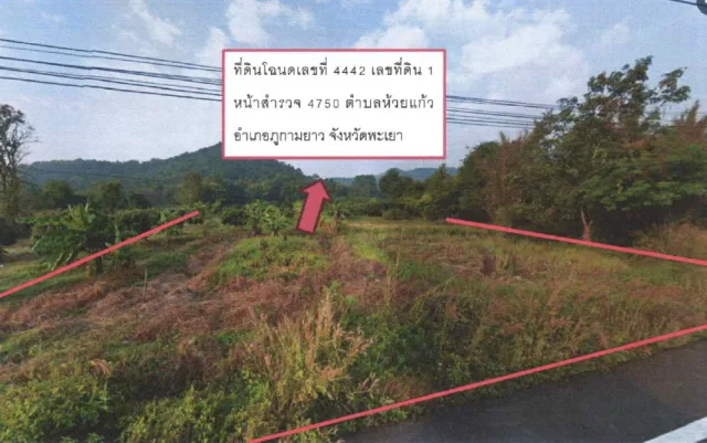 ขายทอดตลาด ที่ดินว่างเปล่า ต.ห้วยแก้ว อ.ภูกามยาว จ.พะเยา