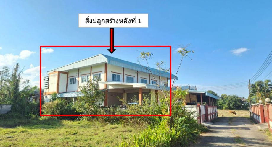 ขายทอดตลาด ที่ดินพร้อมสิ่งปลูกสร้าง ต.บ้านสาง อ.เมืองพะเยา จ.พะเยา