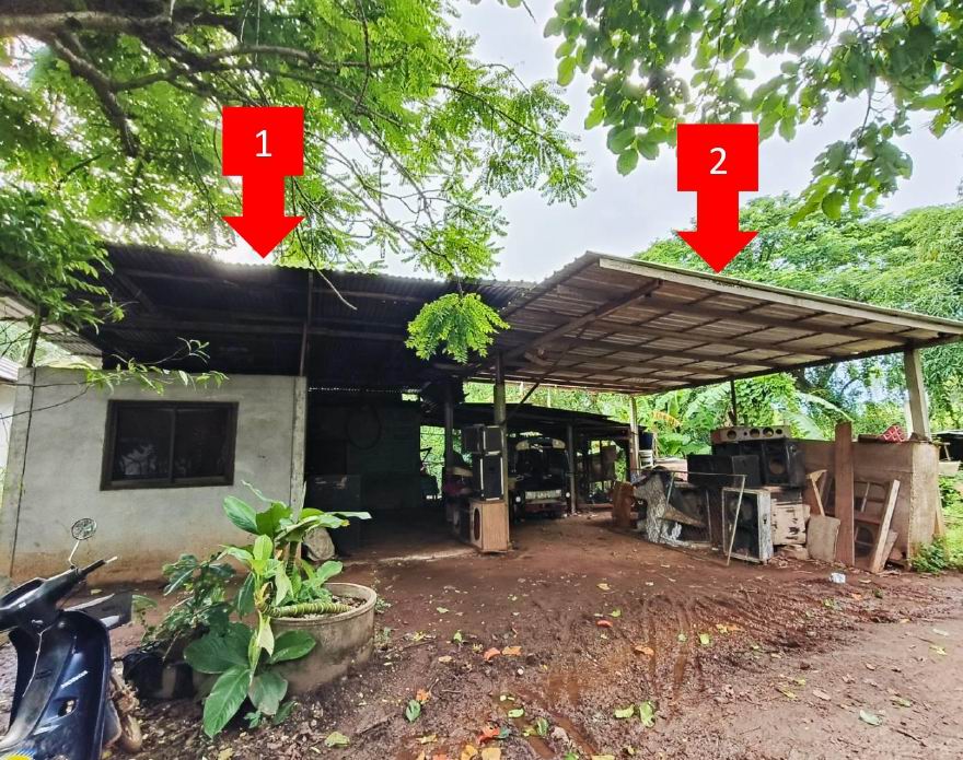 ขายทอดตลาด ที่ดินพร้อมสิ่งปลูกสร้าง ต.เชียงเครือ อ.เมืองสกลนคร จ.สกลนคร