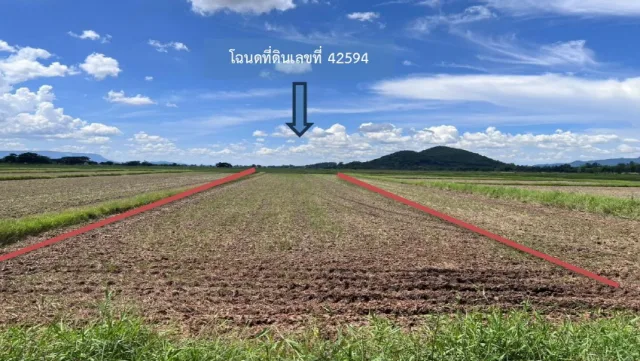 ขายทอดตลาด ที่ดินว่างเปล่า ต.ห้วยลาน อ.ดอกคำใต้ จ.พะเยา