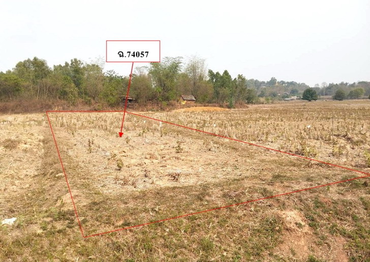 ขายทอดตลาด ที่ดินว่างเปล่า ต.บ้านต๊ำ อ.เมืองพะเยา จ.พะเยา
