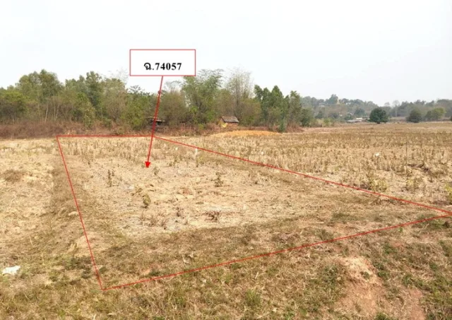 ขายทอดตลาด ที่ดินว่างเปล่า ต.บ้านต๊ำ อ.เมืองพะเยา จ.พะเยา