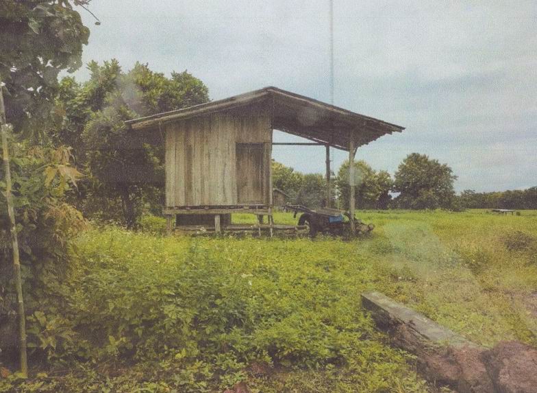 ขายทอดตลาด ที่ดินพร้อมสิ่งปลูกสร้าง ต.จำป่าหวาย อ.เมืองพะเยา จ.พะเยา