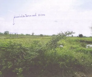 รูปทรัพย์ 4