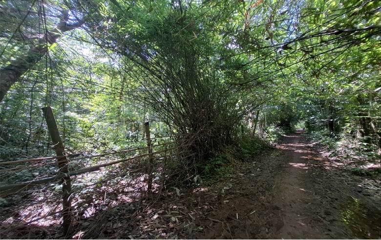 ขายทอดตลาด ที่ดินว่างเปล่า ต.ด่านม่วงคำ อ.โคกศรีสุพรรณ จ.สกลนคร
