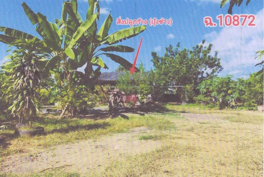 ขายทอดตลาด ที่ดินพร้อมสิ่งปลูกสร้าง ต.สันโค้ง อ.ดอกคำใต้ จ.พะเยา