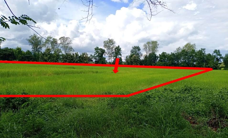 ขายทอดตลาด ที่ดินว่างเปล่า ต.แม่สุก อ.แม่ใจ จ.พะเยา