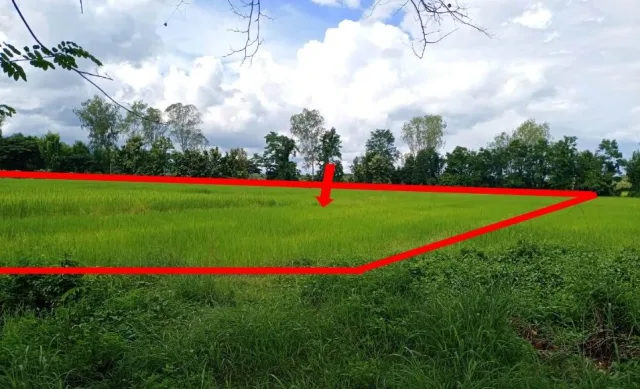 ขายทอดตลาด ที่ดินว่างเปล่า ต.แม่สุก อ.แม่ใจ จ.พะเยา