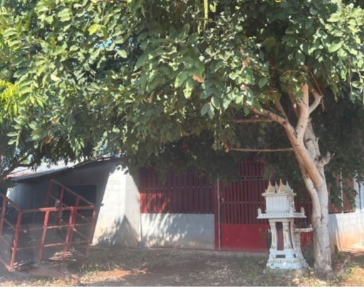 ขายทอดตลาด ที่ดินพร้อมสิ่งปลูกสร้าง ต.พังโคน อ.พังโคน จ.สกลนคร