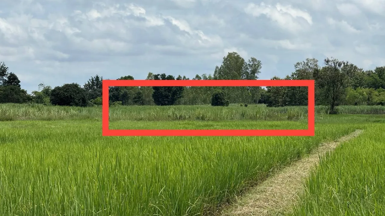 ขายทอดตลาด ที่ดินว่างเปล่า ต.หนองกุง อ.น้ำพอง จ.ขอนแก่น