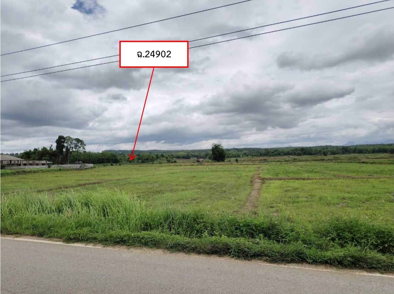 ขายทอดตลาด ที่ดินว่างเปล่า ต.นาปรัง อ.ปง จ.พะเยา