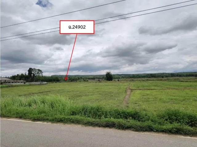 ขายทอดตลาด ที่ดินว่างเปล่า ต.นาปรัง อ.ปง จ.พะเยา